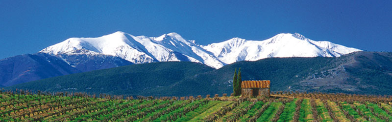Canigou